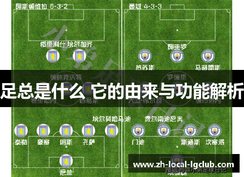 足总是什么 它的由来与功能解析 足总是什么 它的由来与功能解析
